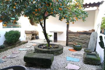 Photo 52