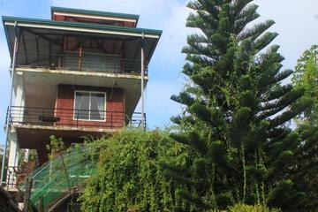Photo 41