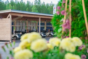 Golf cart