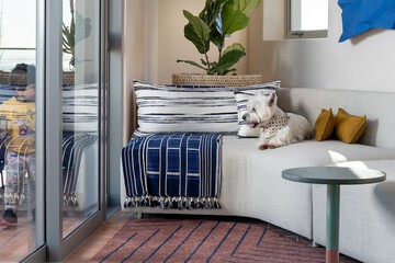 Pet-friendly amenities
