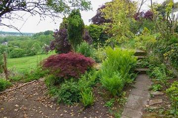 Photo 42
