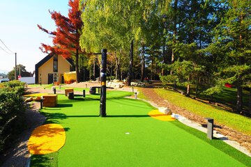 Mini-golf