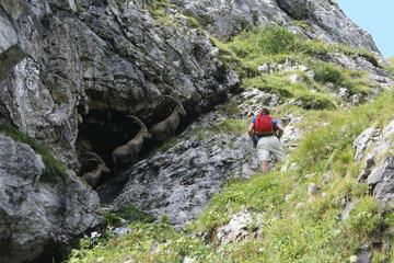 Hiking