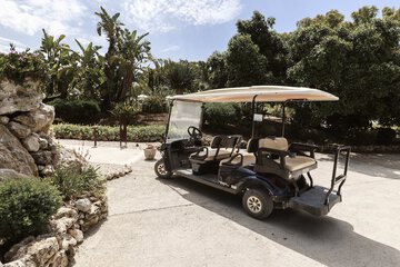 Golf cart
