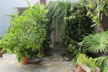 Photo 49