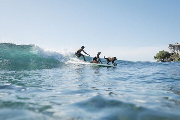 Surfing/boogie boarding