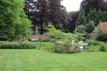 Photo 46