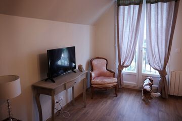 Television