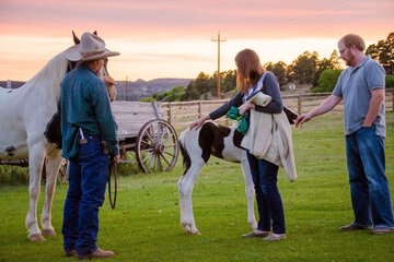 Horseback riding