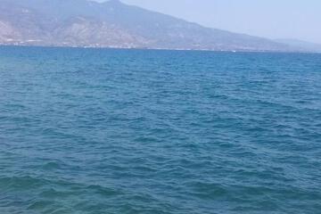 Photo 30