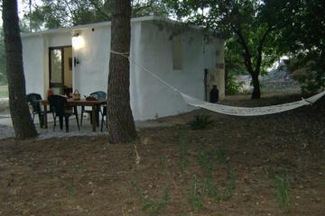 Photo 32