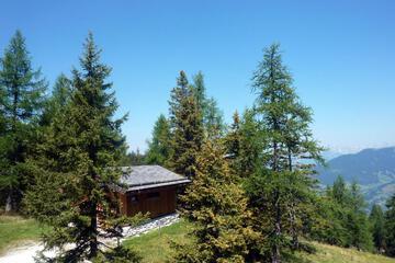 Photo 35