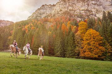 Horseback riding