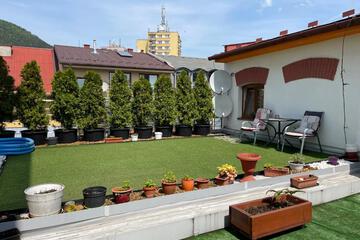 Photo 44