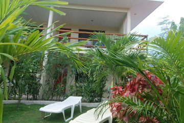 Garden view