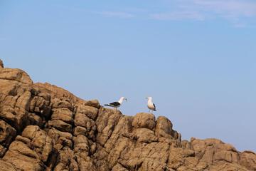 Photo 46