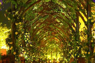 Indoor wedding