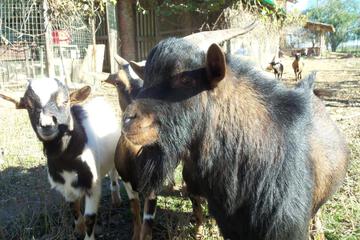 Photo 21