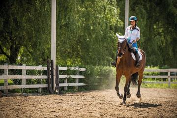 Horseback riding