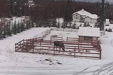 Property Grounds 26 of 26