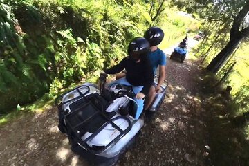 Scooter/moped