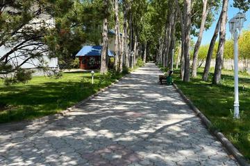Photo 26