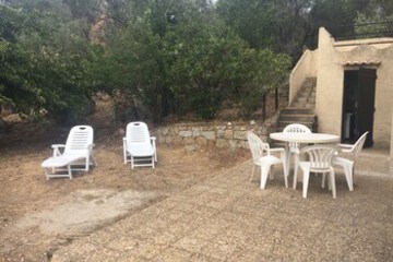 Terrace or Patio