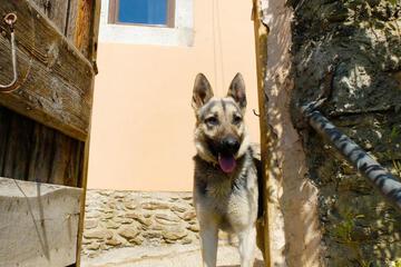 Photo 52