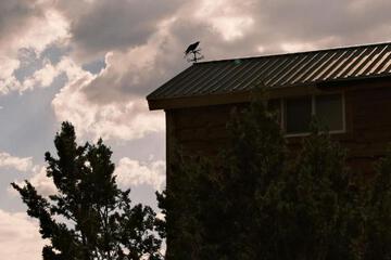 Photo 20