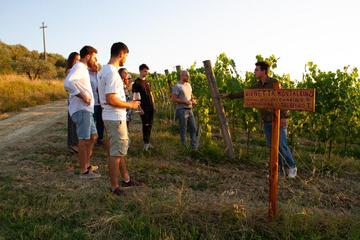 Photo 47