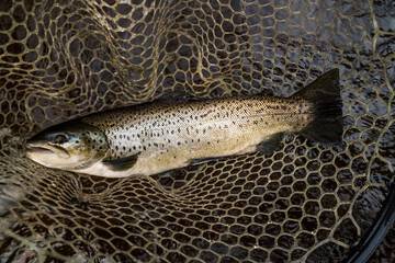 Outdoor Activities 206 of 215