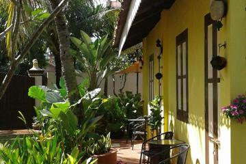 Photo 44