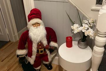 Photo 46