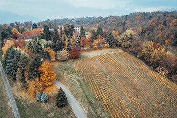 Land view from property