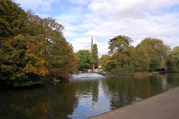 Photo 41
