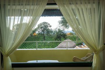 Valley view