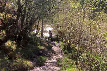 Photo 44