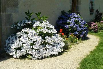 Photo 51
