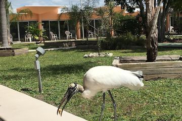 Property Grounds 49 of 50