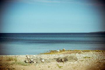Photo 38