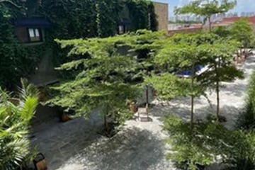 Garden view
