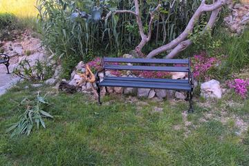 Photo 62