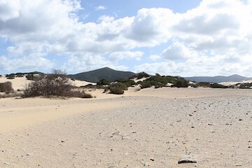 Land view from property