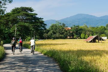 Bicycling