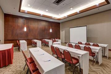 Conferences