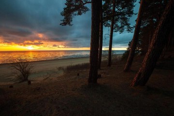 Beach