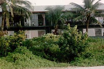 Photo 45