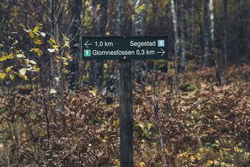 Hiking