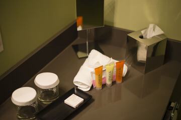 Bathroom amenities