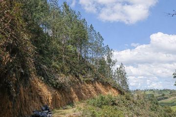 Game drive